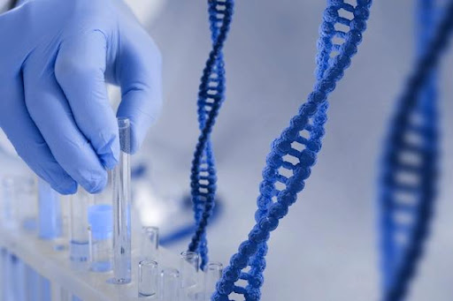 buy peptides online